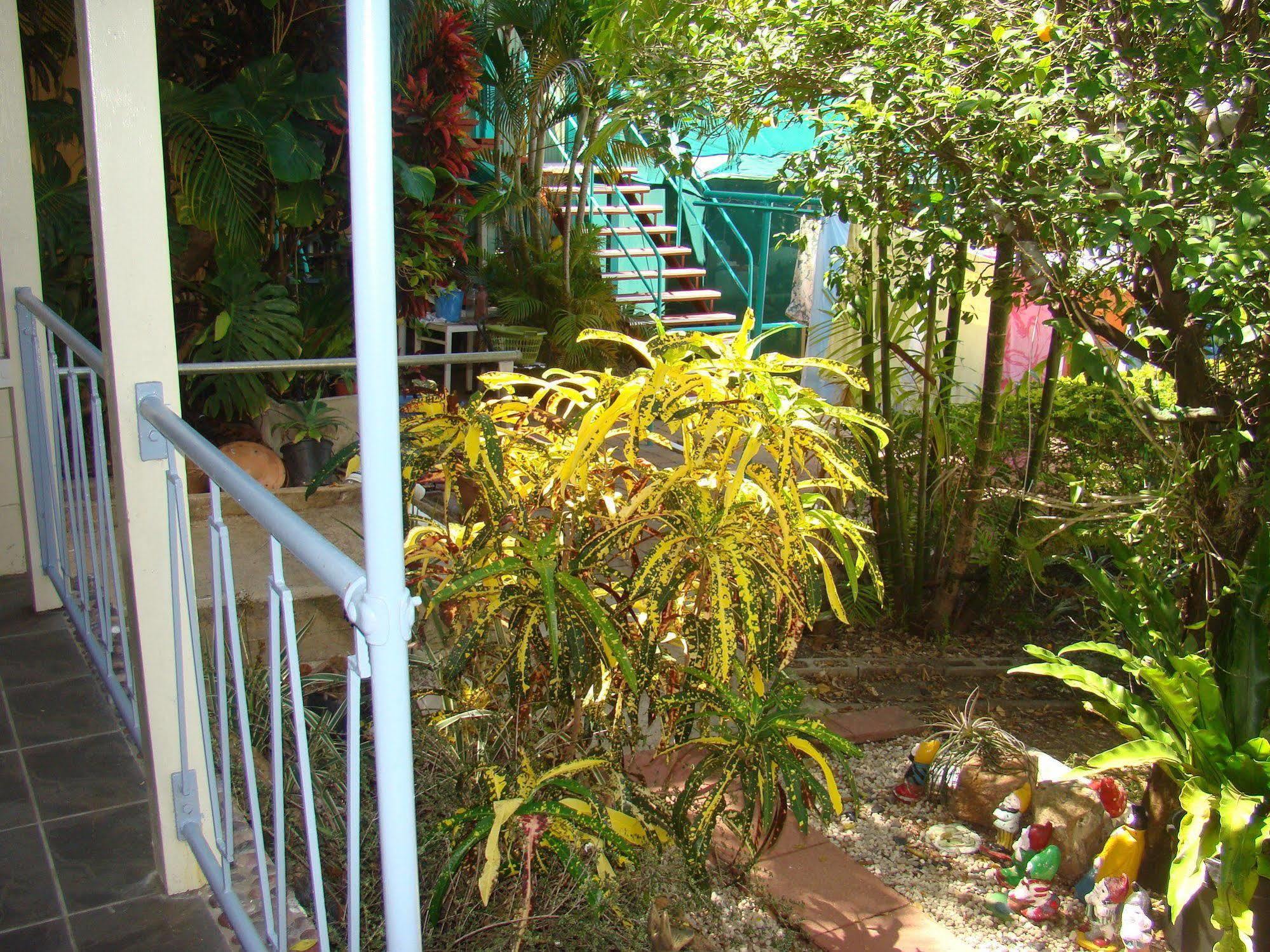 Orchid Guest House Townsville Ngoại thất bức ảnh